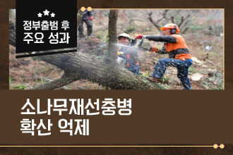 소나무재선충병 확산 억제