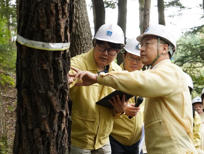김인호 산림청장, 경주 APEC 행사장 소나무재선충병 방제 현장 점검