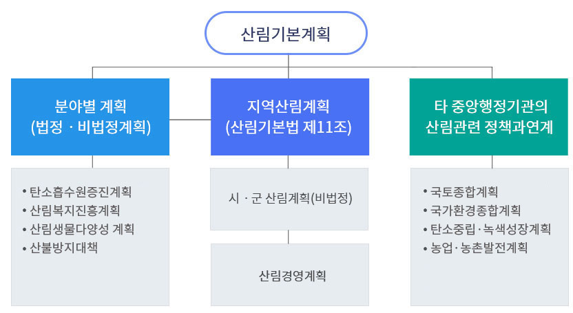 산림기본계획-분야별계획(법정·비법정계획)-(탄소흡수원증진계획,산림복지진흥계획,산림생물다양성 계획,산불방지대책), 지역산림계획(산림기본법제11조)-시·군산림계획(비법정)-산림경영계획, 타중앙행정기관의산림관련정책과연계-(국토종합계획, 국가환경종합계획,탄소중립·녹색성장계획,농업·농촌 발전계획)