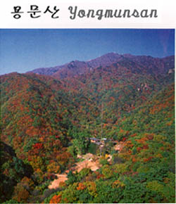 용문산((Mt. )Yongmunsan)