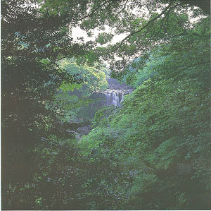 서귀포시 상효동 천제연폭포와 난대수림, 천연기념물 제182-7호(Cheonjeyeonpokpo(falls) and warm-temperate natural forest in Seogwipo-si)