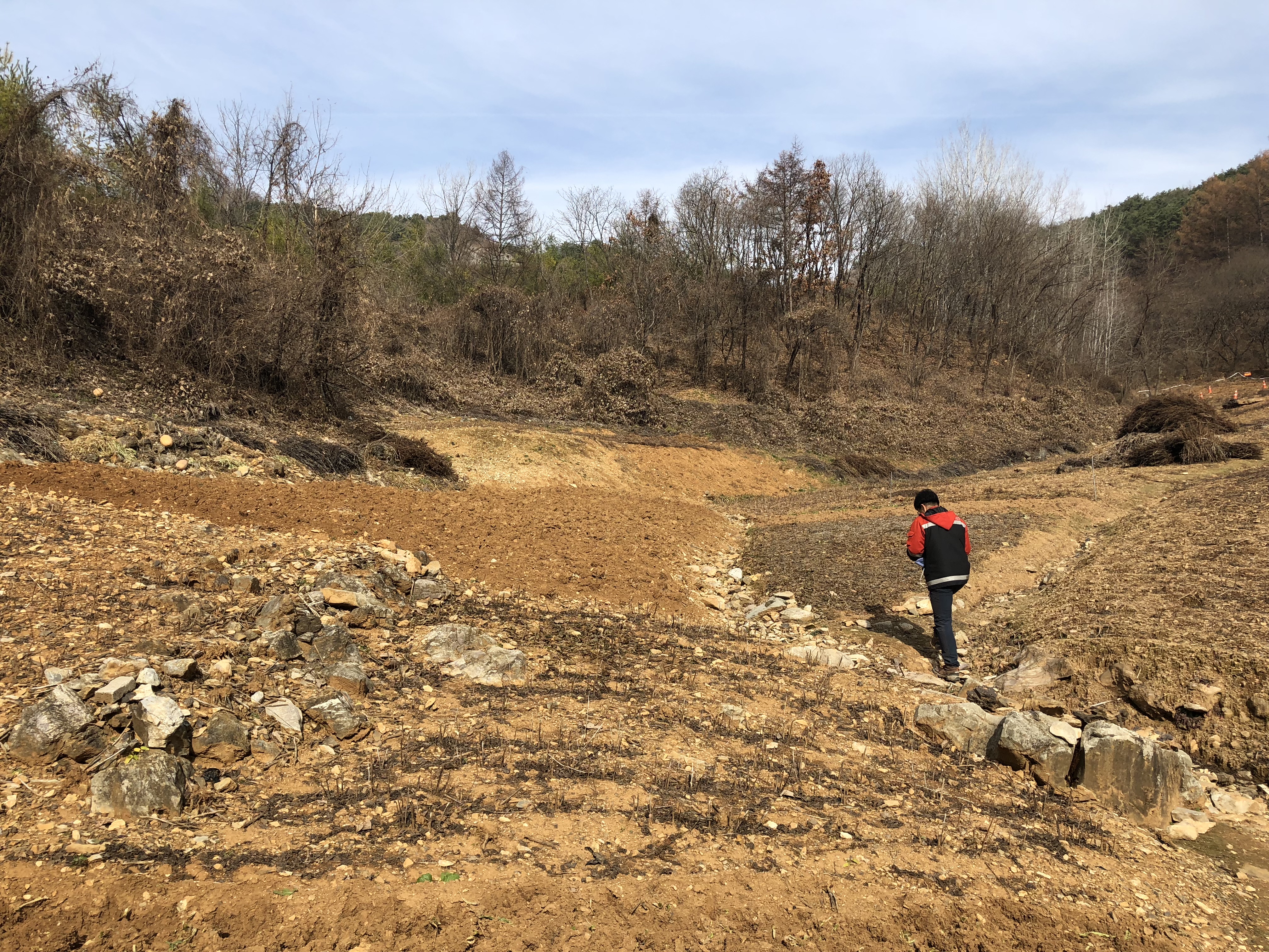 동부지방산림청, 정선국유림관리소 관할 국유림 불법훼손자 사법 조치한다 이미지1