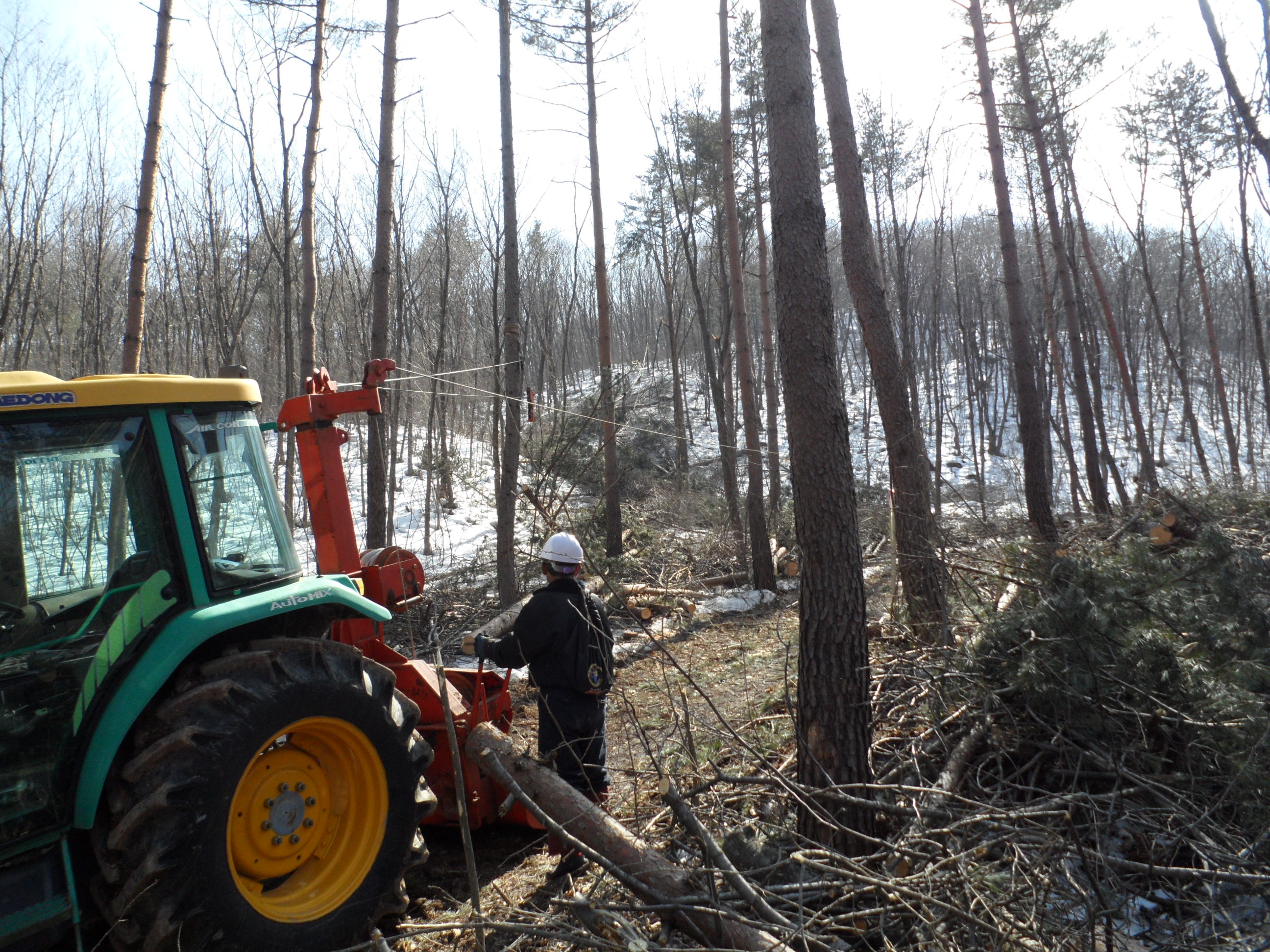 동부지방산림청, 고성능 임업기계 장비로 국산목재 자급률 높인다 이미지1