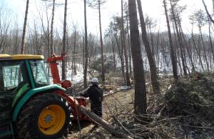 동부지방산림청, 고성능 임업기계 장비로 국산목재 자급률 높인다