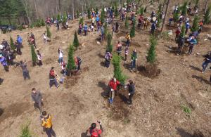제74회 식목일 기념 숲속의 한반도 만들기 새산새숲 나무심기 행사 개최