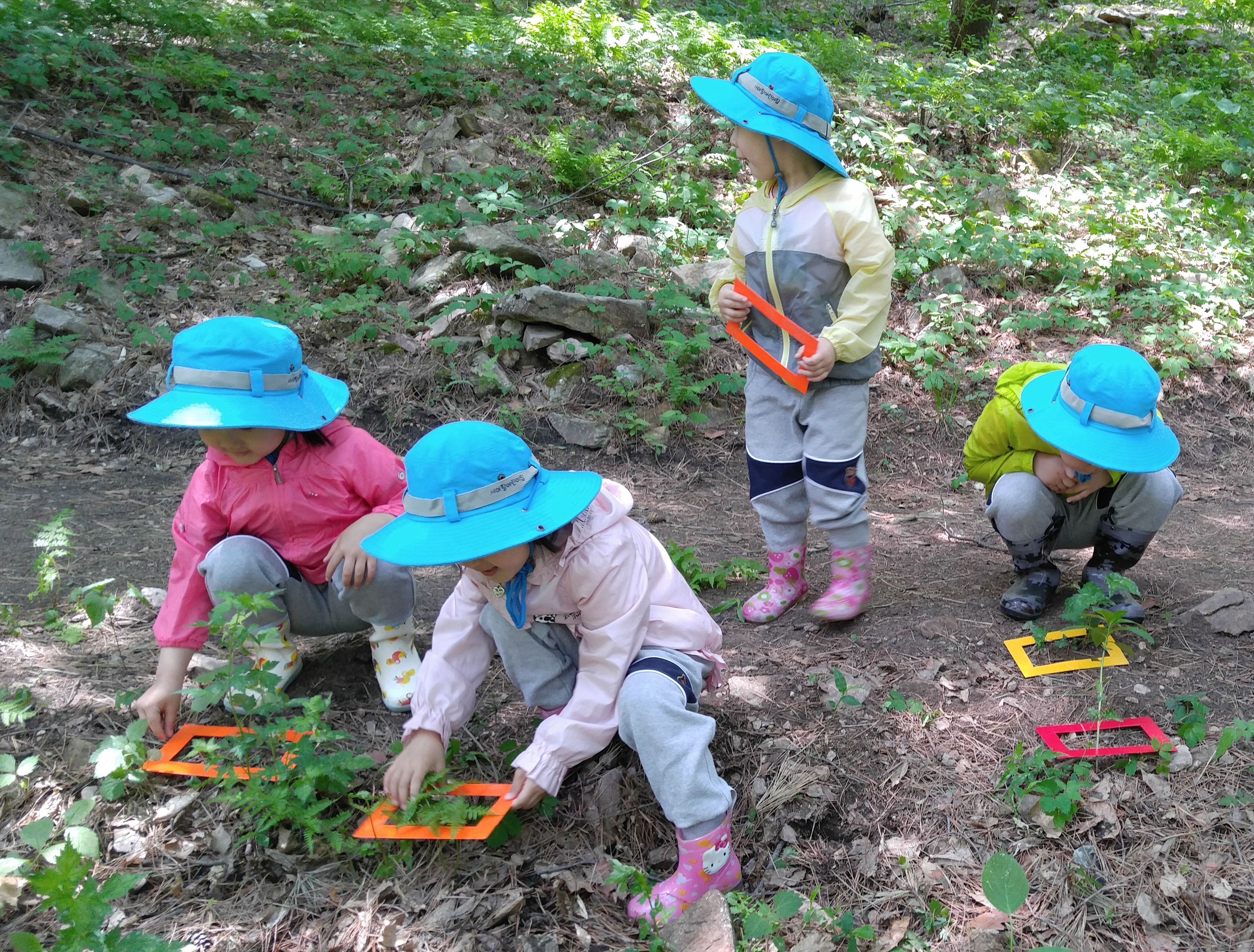 유아숲체험원 등 산림 다중이용시설 운영 재개 이미지1