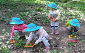 유아숲체험원 등 산림 다중이용시설 운영 재개
