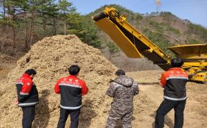 동부지방산림청, 소나무재선충병 방제사업장 일제 점검