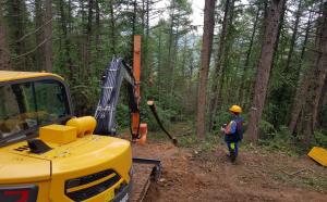 산림사업 안전보건점검 체크리스트 작성