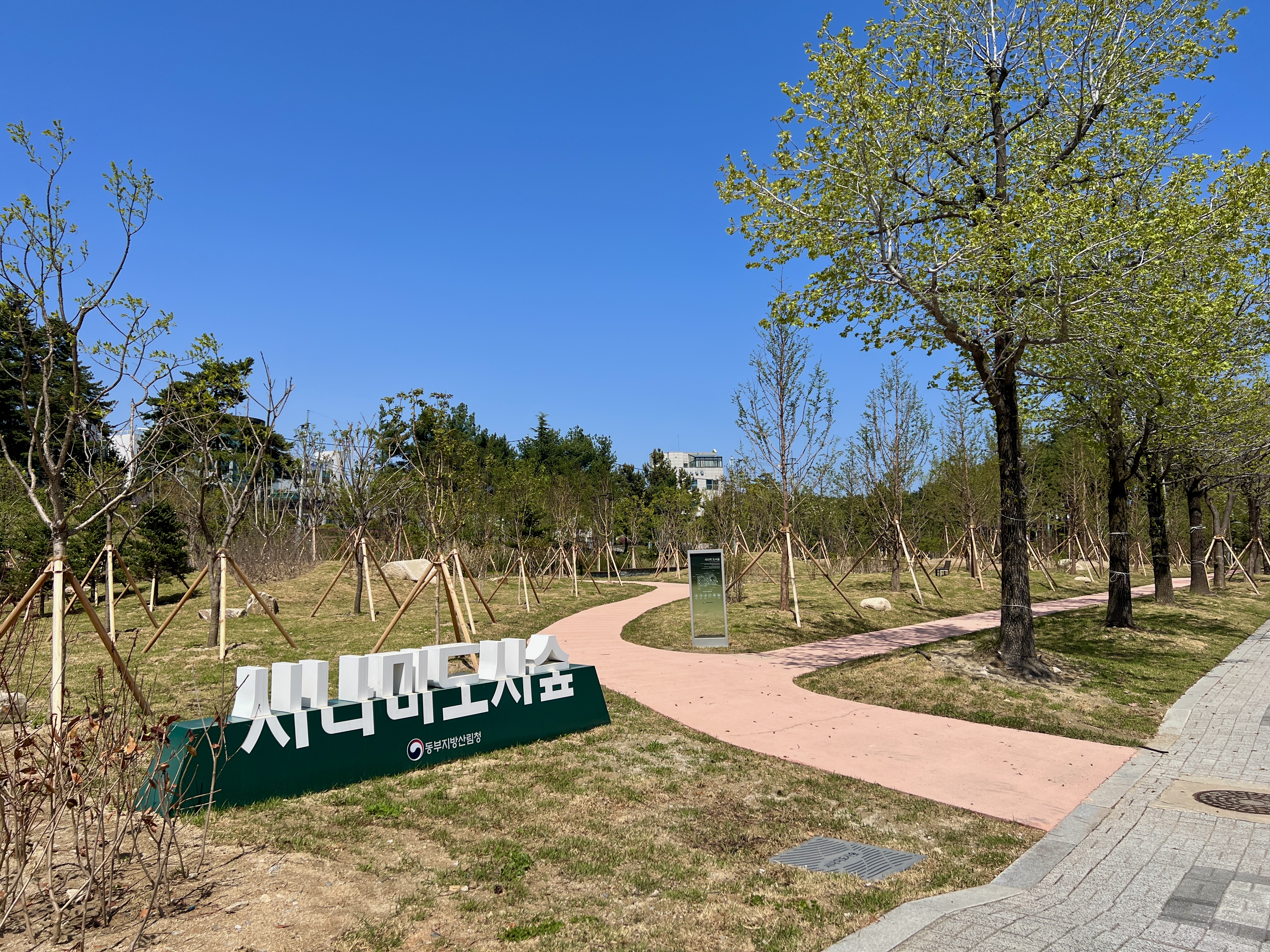 동부지방산림청, 시나미 도시숲·정원 개장 이미지1